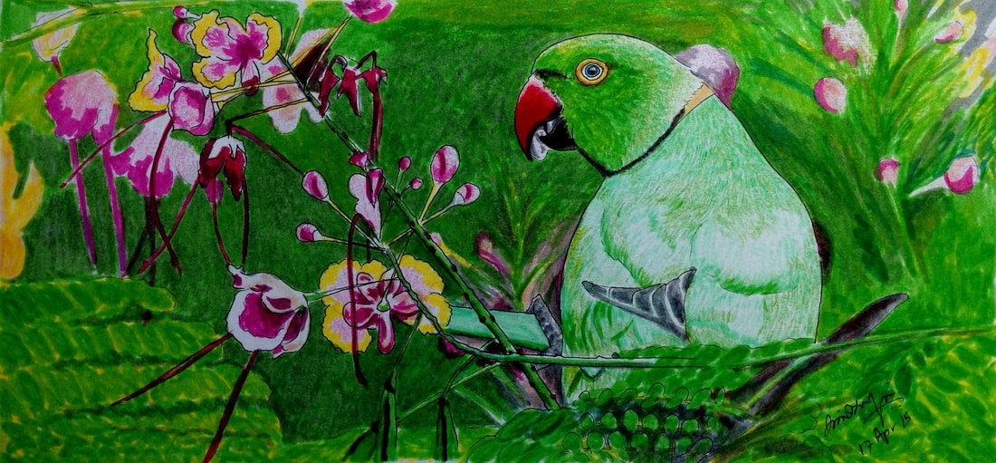 Parrot