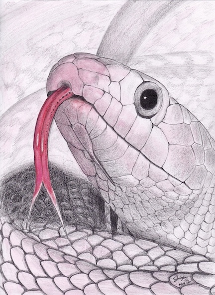 White snake